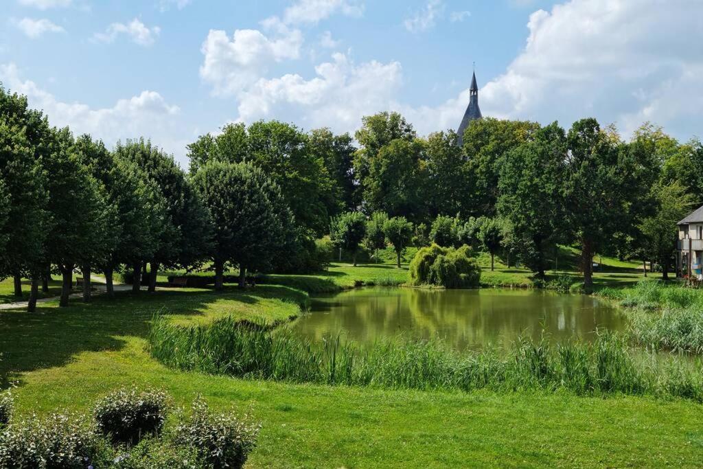 maison centre de bellegarde avec jardin et terrasse équipée d'un salon de jardin et d'un barbecue cuisine équipée 3 chambres avec 2 lits double 140x190 et 2 lits simple chauffage poêle à granulés parking gratuit devant la maison Bellegarde-du-Loiret Exterior foto